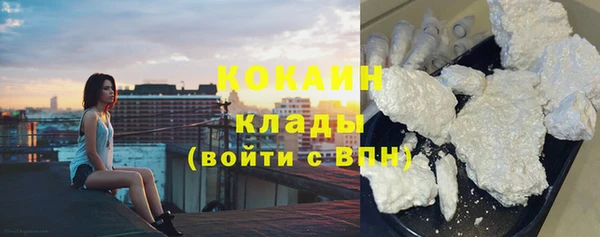 шишки Горно-Алтайск