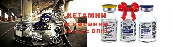шишки Горно-Алтайск
