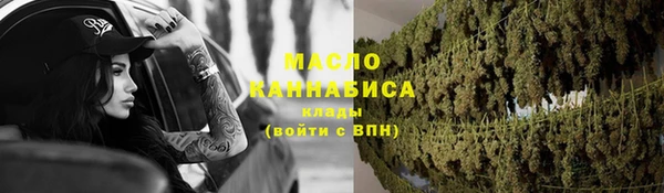 шишки Горно-Алтайск