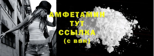 шишки Горно-Алтайск