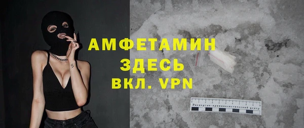 гашик Горняк