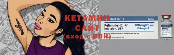 шишки Горно-Алтайск