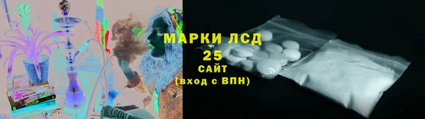 гашик Горняк