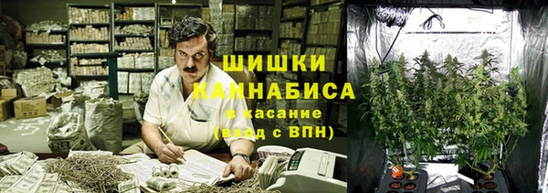 ешки Вяземский