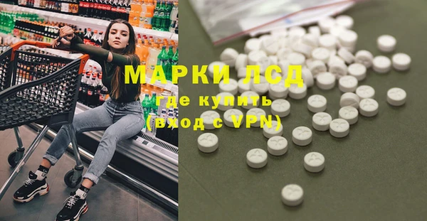 шишки Горно-Алтайск