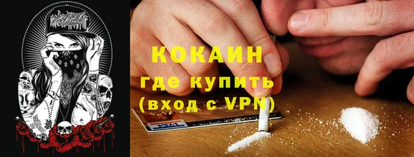 шишки Горно-Алтайск