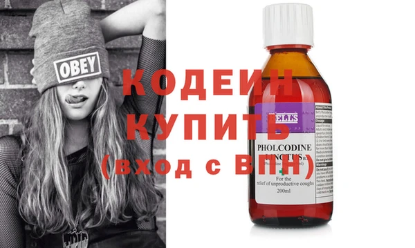 гашик Горняк